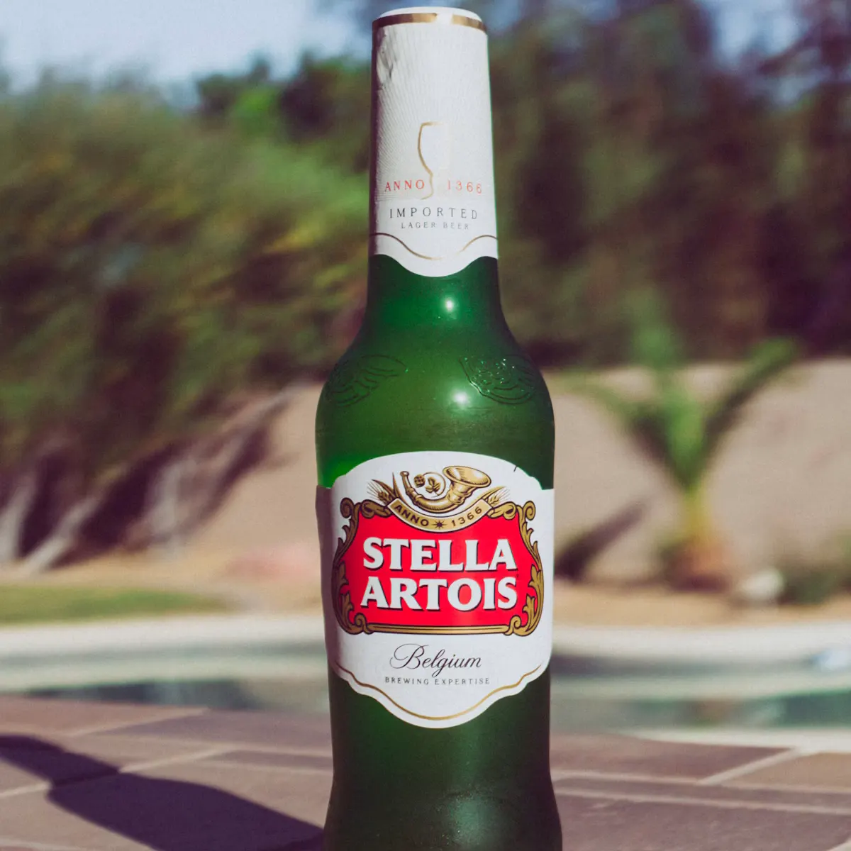 Foto de Stella Artois